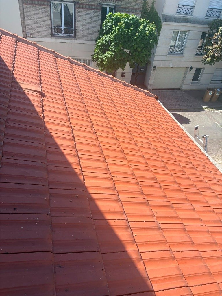 Rénovation et pose de toiture tuiles par Artisan Dallau